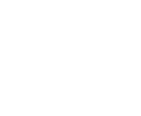 Darkmonk fire logo